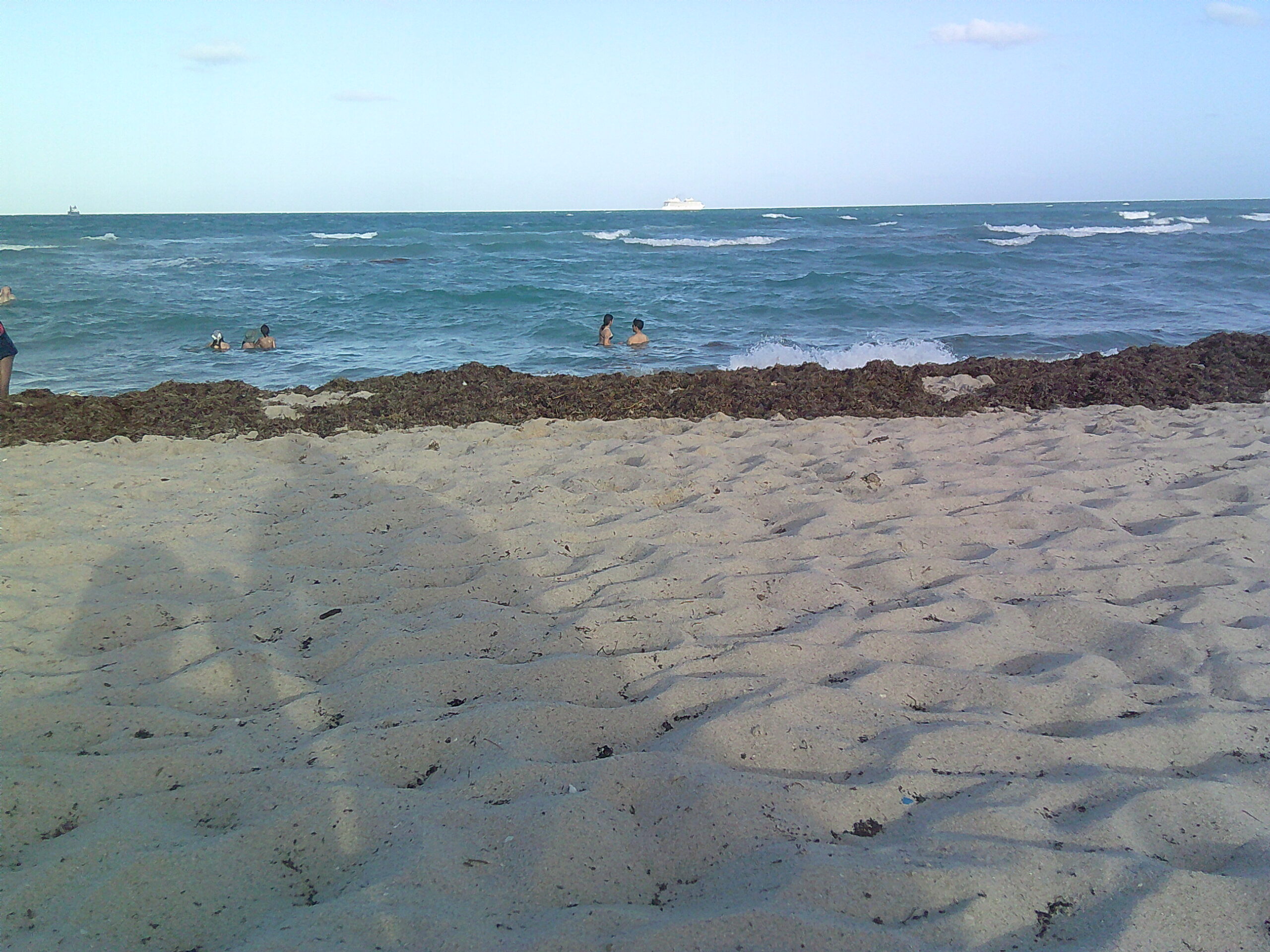 Saved by the Beach